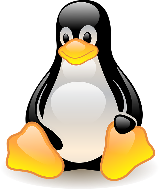 Linux